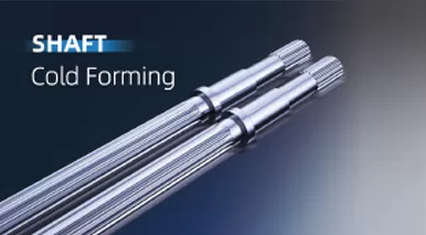 Shaft Cold Forming